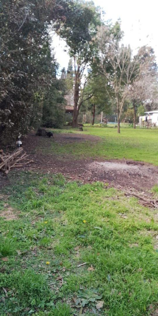 Foto de LOTE EN VENTA PILAR ESCRITURA FINANCIACION, imagen 5