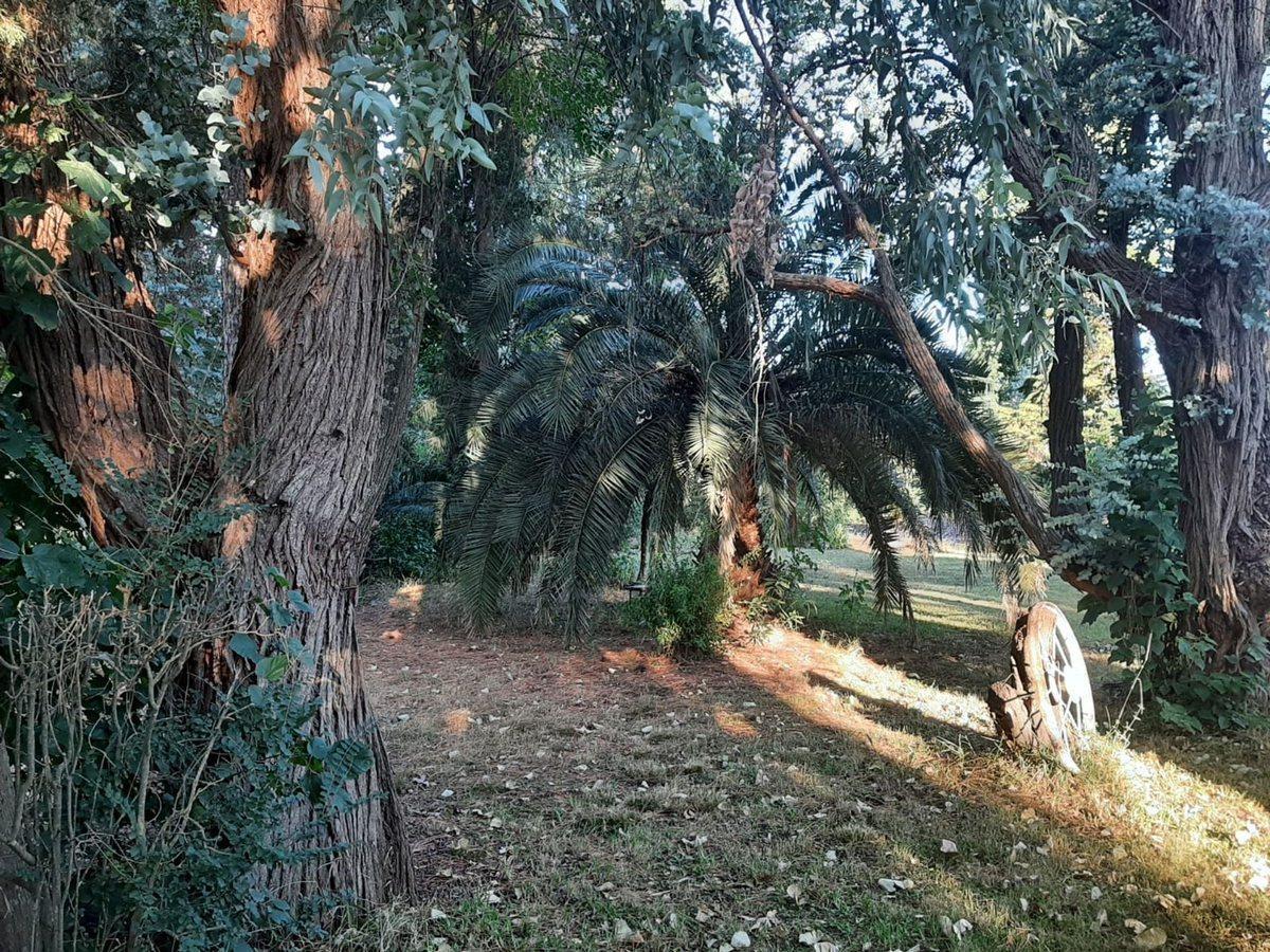 Foto de Terreno Lote Exaltacion de la Cruz Pque Exaltacion, imagen 4
