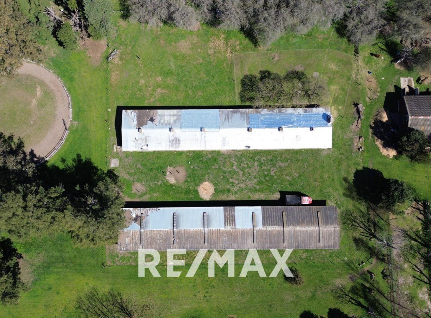 Foto de VENTA CABALLERIZA HARAS EL MALACATE, imagen 3