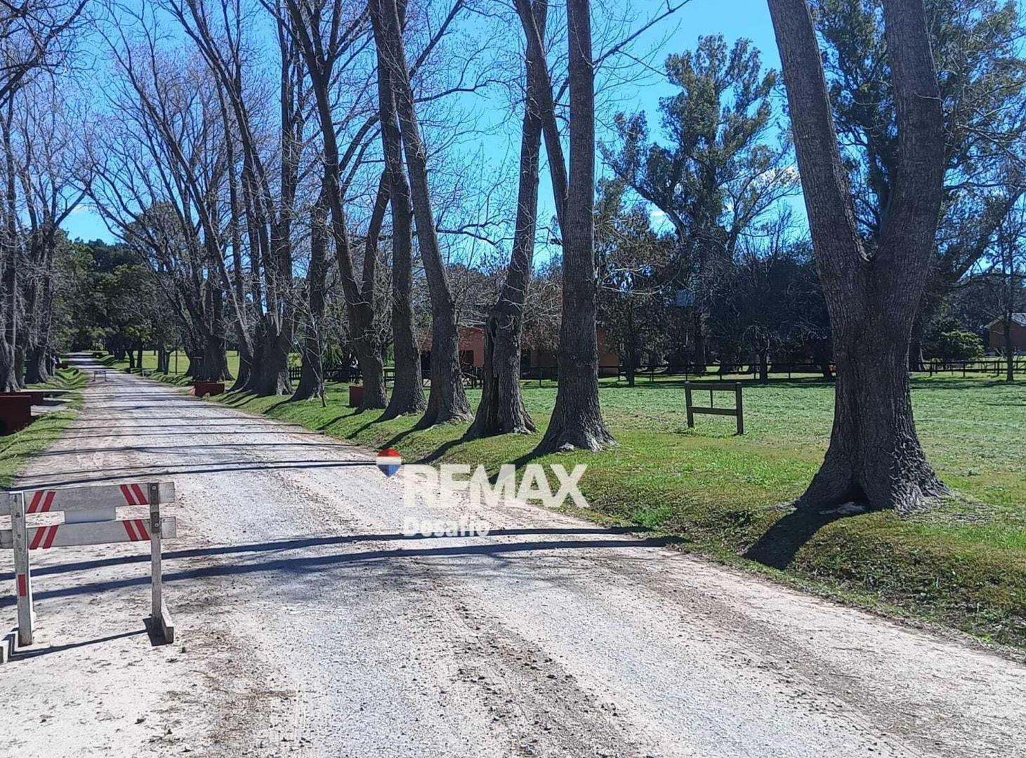 Foto de VENTA LOTE 224 HARAS EL MALACATE, imagen 2