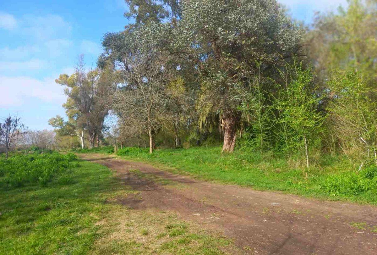 Foto de Venta de lote La Lonja Pilar, imagen 5