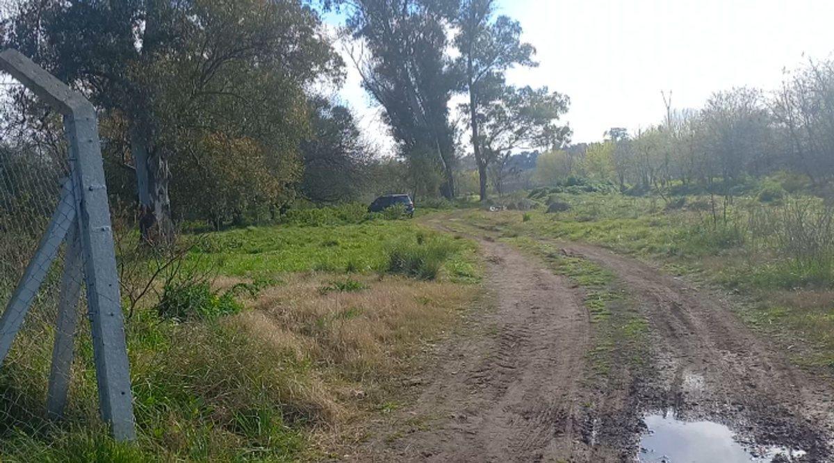 Foto de Venta de lote La Lonja Pilar, imagen 2