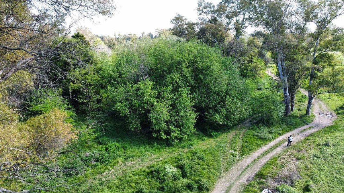 Foto de Venta de lote La Lonja Pilar, imagen 3