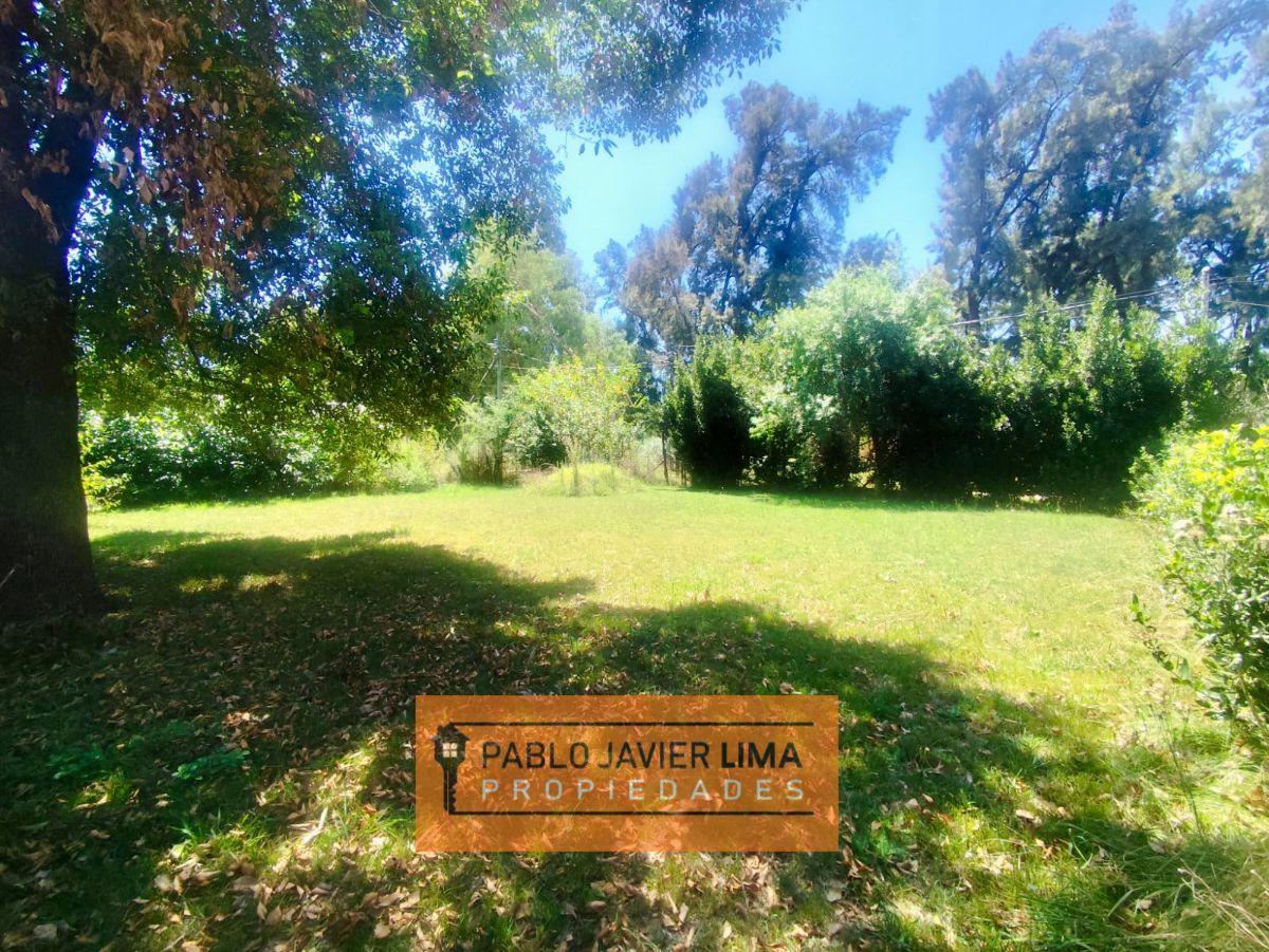 Foto de VENTA LOTES TERRENOS - GENERAL RODRIGUEZ, imagen 3
