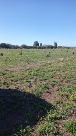 Venta Excelente Campo Ganadero Mixto con Riego en Cruz del Eje (Cba) 1