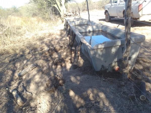 Venta Excelente Campo Ganadero Mixto con Riego en Cruz del Eje (Cba) 3