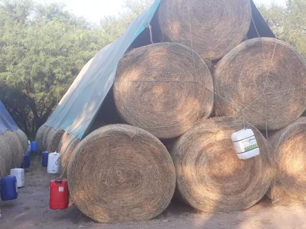 Venta Excelente Campo Ganadero Mixto con Riego en Cruz del Eje (Cba) 5