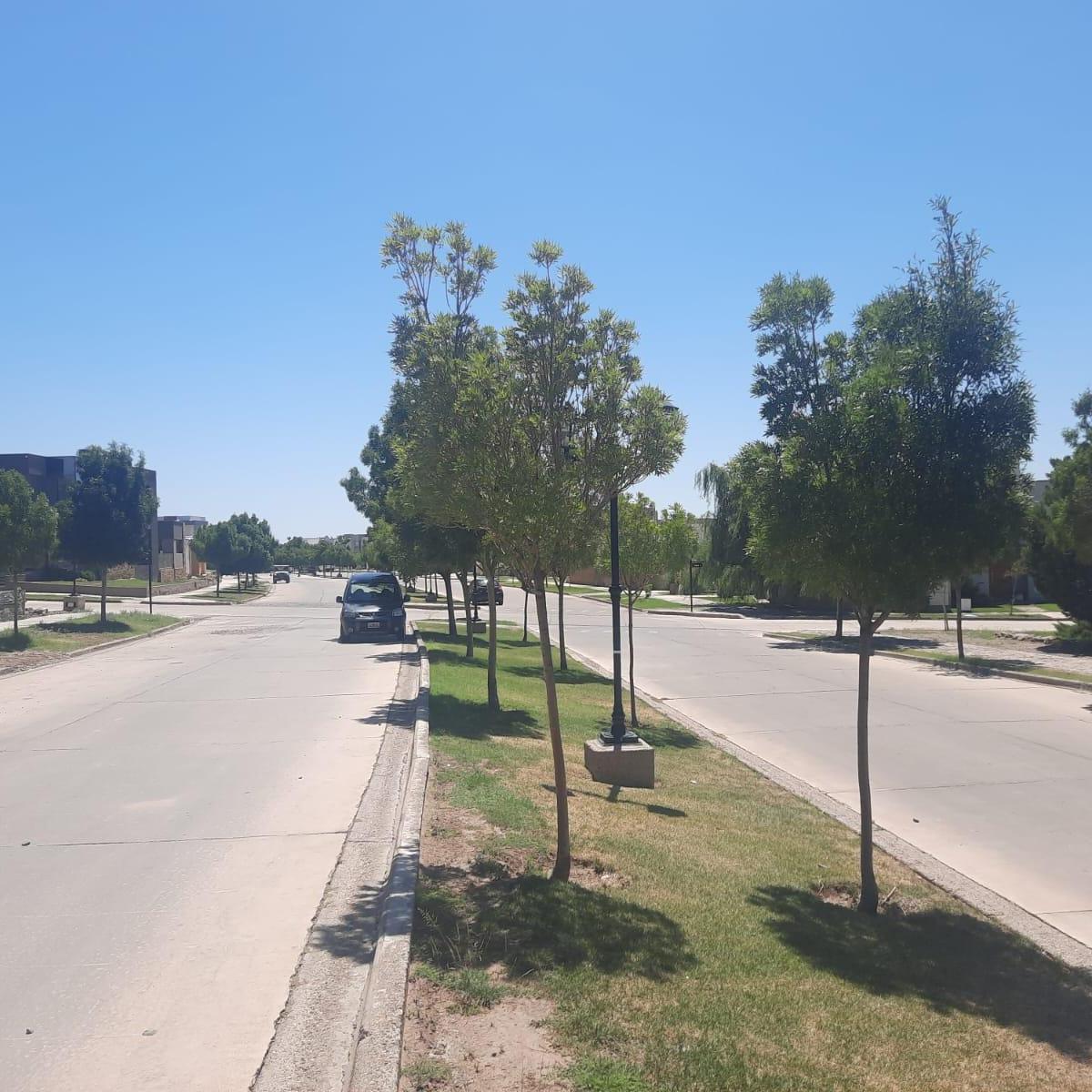 Venta Lote en Barrio Privado La Bastilla (Muy Cerca del Dalvian) 3
