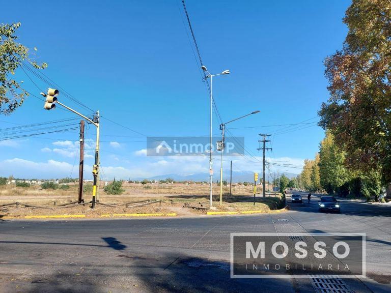 Foto de Venta terreno de 10.000 metros cuadrados. Maipú, imagen 4