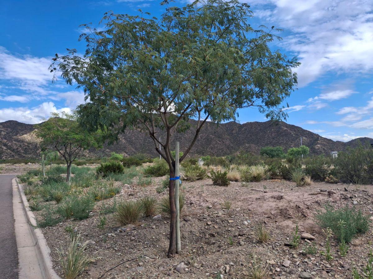 Lote en venta Barrio Mendoza Norte