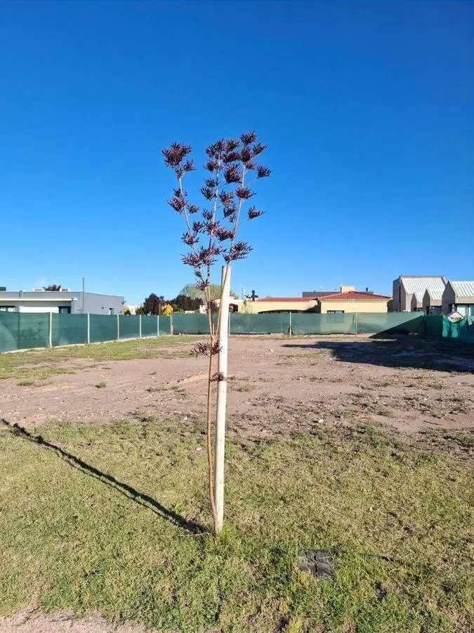 Lote en venta Barrio La Toscana, Vistalba 5