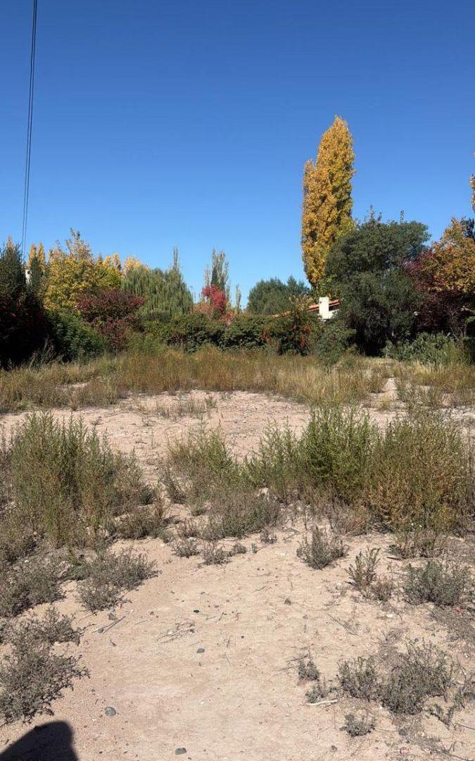 Lote en venta Chacras de Coria, calle EL Jarillal y Santos Vega.