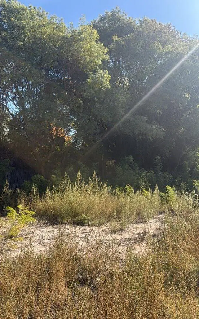 Lote en venta Chacras de Coria, calle EL Jarillal y Santos Vega. 4