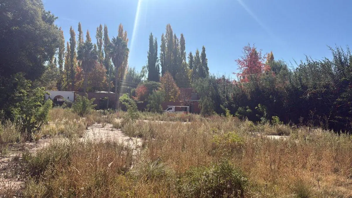 Lote en venta Chacras de Coria, calle EL Jarillal y Santos Vega. 5