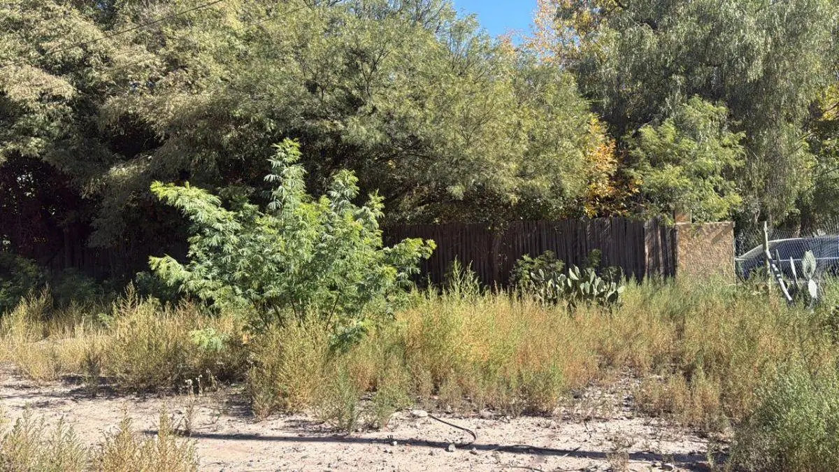 Lote en venta Chacras de Coria, calle EL Jarillal y Santos Vega. 3