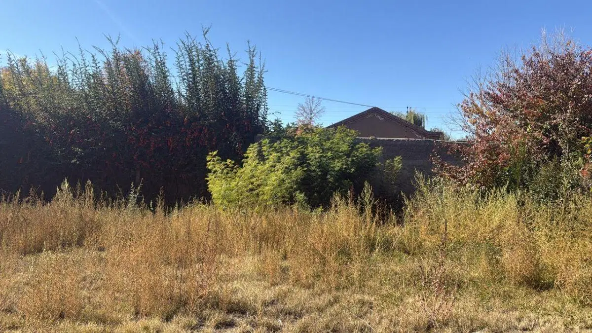 Lote en venta Chacras de Coria, calle EL Jarillal y Santos Vega. 2