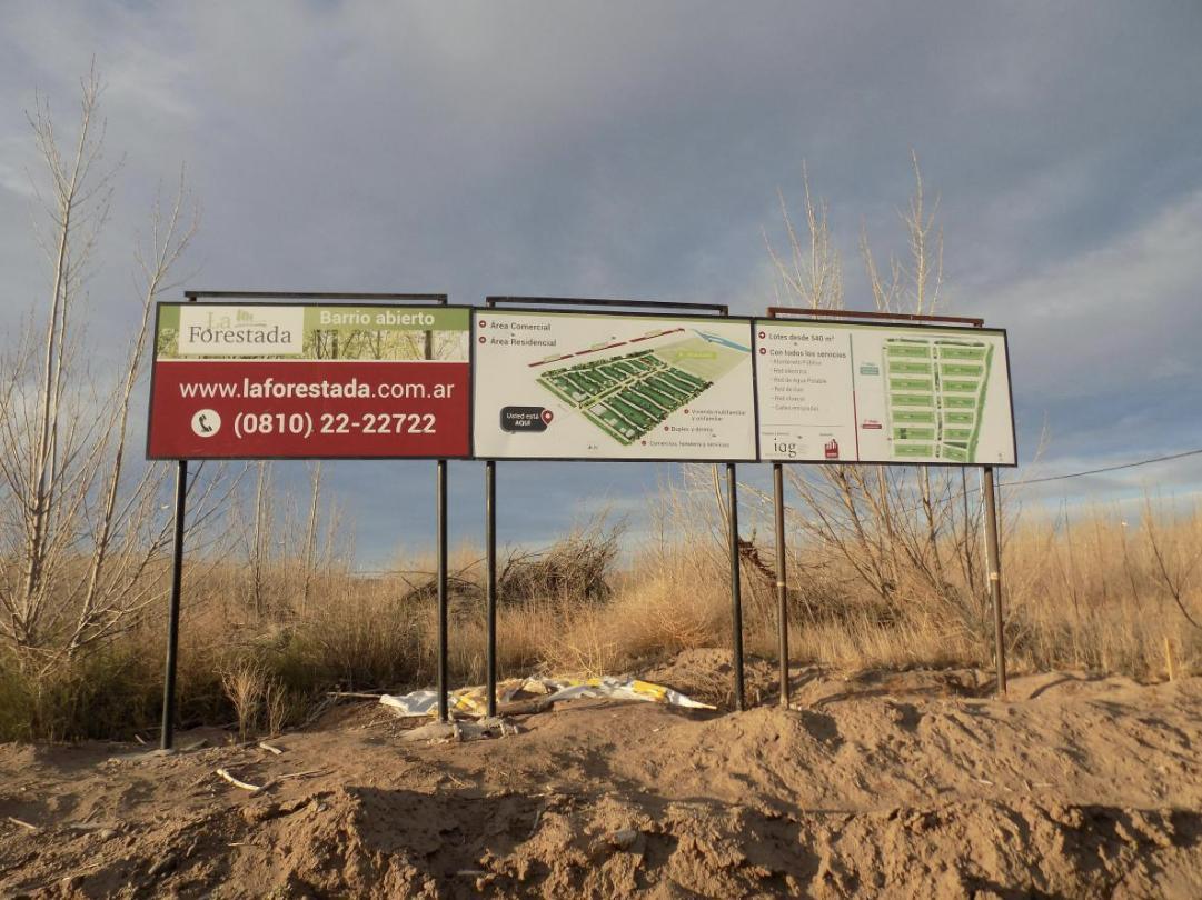 Foto de Terreno en La Forestada, Añelo, Vaca Muerta, imagen 4