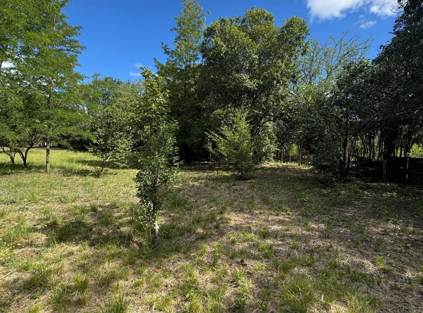 VENTA  - VILLA TULUMBA - LOTE PARA DESAROLLO TURISTICO - NO LO DEJES PASAR 4