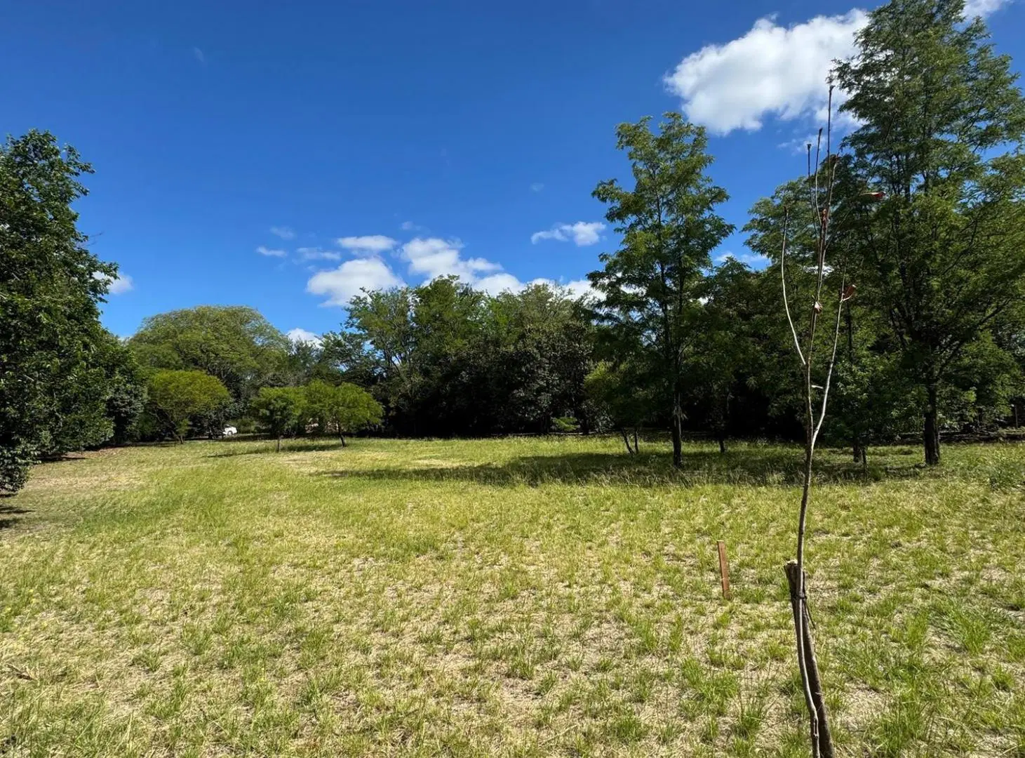 VENTA  - VILLA TULUMBA - LOTE PARA DESAROLLO TURISTICO - NO LO DEJES PASAR 2