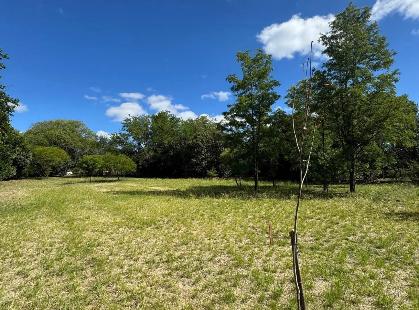 VENTA  - VILLA TULUMBA - LOTE PARA DESAROLLO TURISTICO - NO LO DEJES PASAR 3