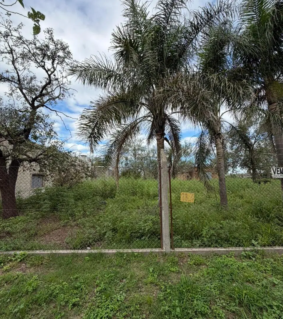 VENTA TERRENO EN RUTA 9 EN ESTACION JUAREZ CELMAN!! NO LO DEJES PASAR 2