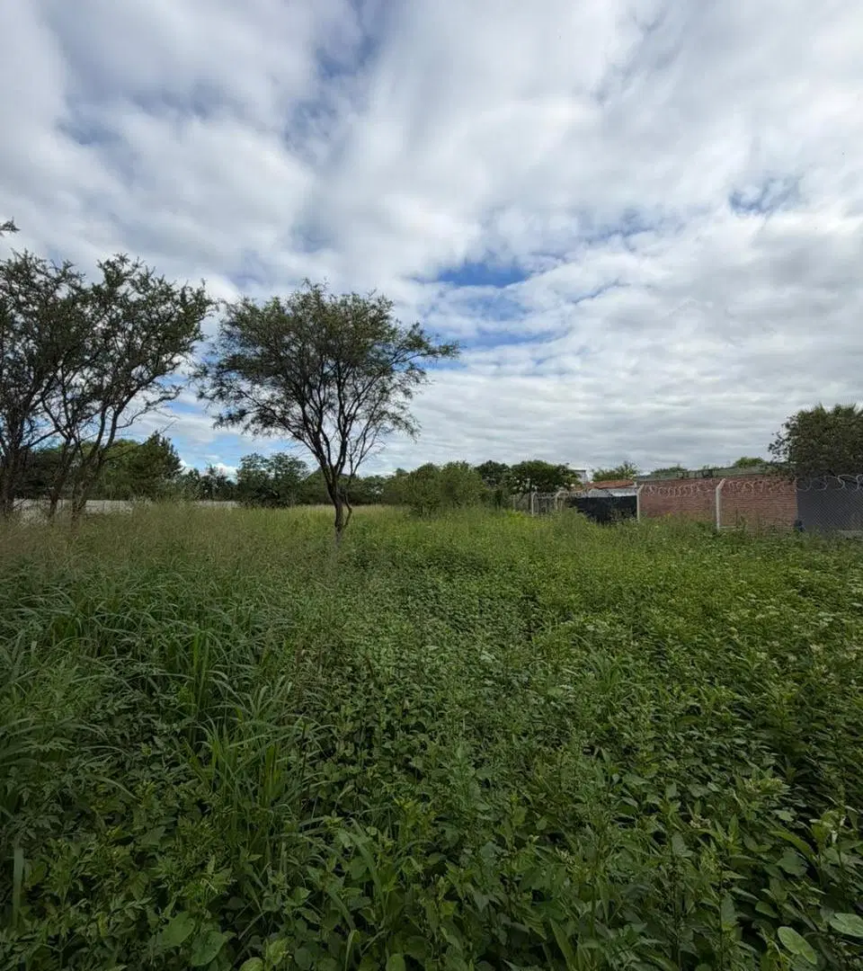 VENTA TERRENO EN RUTA 9 EN ESTACION JUAREZ CELMAN!! NO LO DEJES PASAR 5