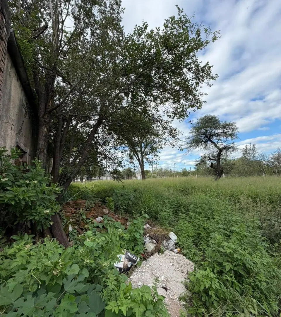 VENTA TERRENO EN RUTA 9 EN ESTACION JUAREZ CELMAN!! NO LO DEJES PASAR 3