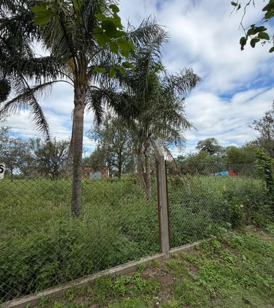 VENTA TERRENO EN RUTA 9 EN ESTACION JUAREZ CELMAN!! NO LO DEJES PASAR 2