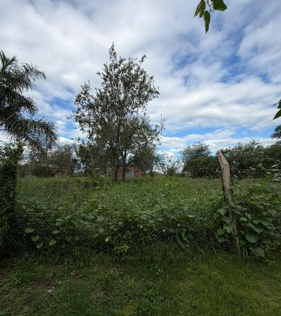 VENTA TERRENO EN RUTA 9 EN ESTACION JUAREZ CELMAN!! NO LO DEJES PASAR 3