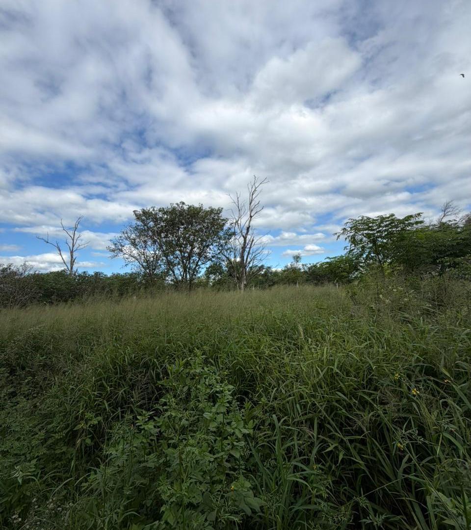 Foto de VENTA TERRENO EN RUTA 9 EN ESTACION JUAREZ CELMAN!! NO LO DEJES PASAR, imagen 5