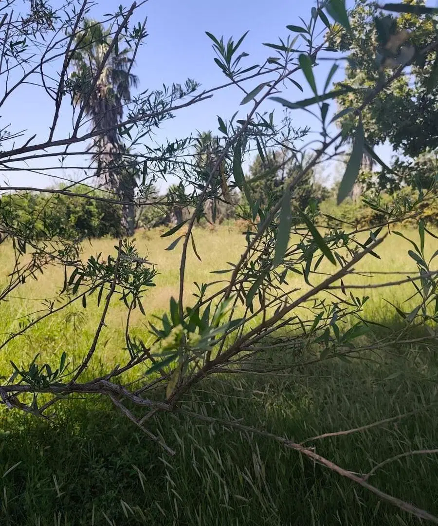 Terreno Venta Valle del Golf 4