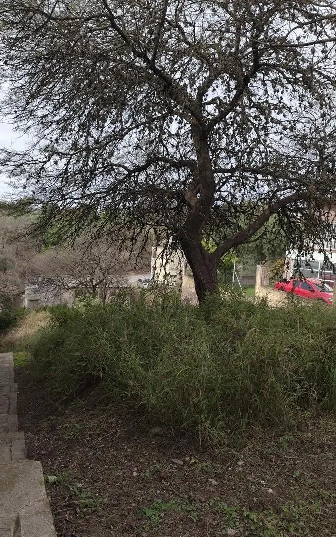Casa en Saldan 5