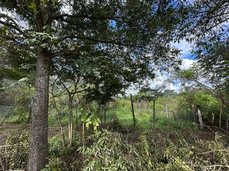 Foto de Terreno en Venta en Vaqueros, Salta, imagen 3