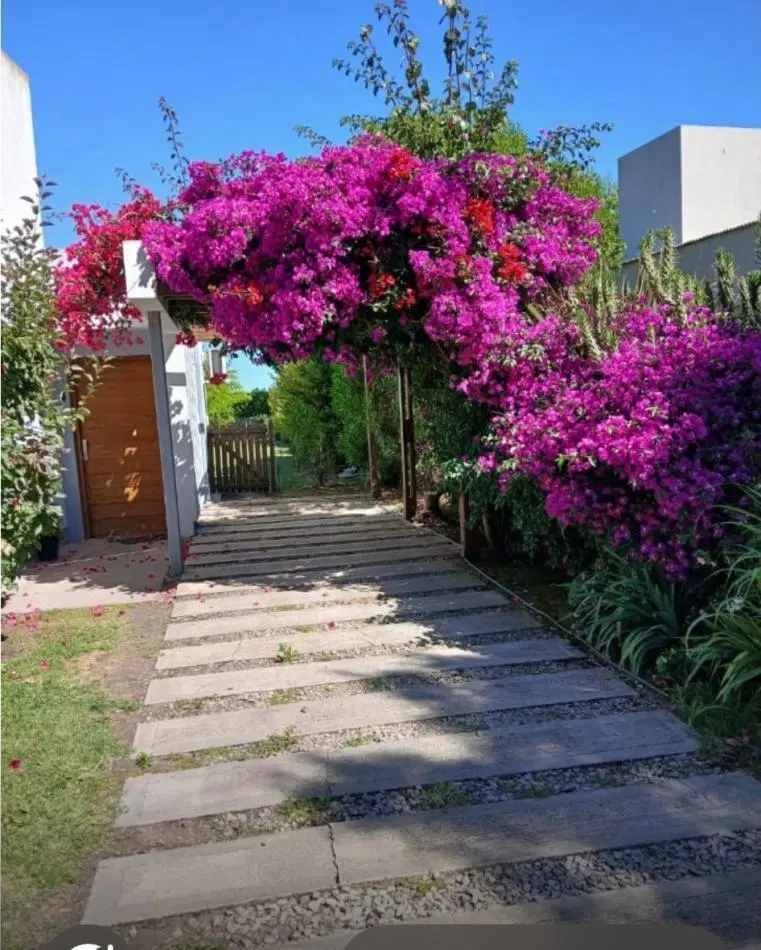 CASA ALQUILER 24 MESES BARRIO PRIVADO ARENAS DEL SUR 1