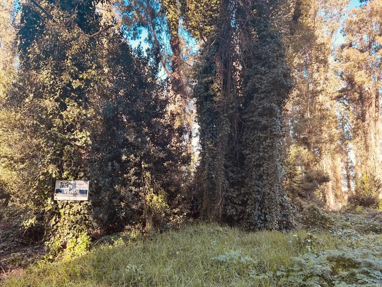 Terreno venta Bosque Peralta Ramos 4