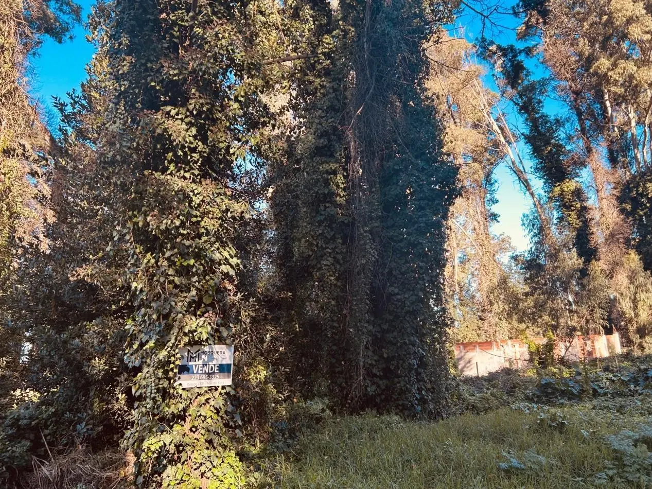 Terreno venta Bosque Peralta Ramos 3