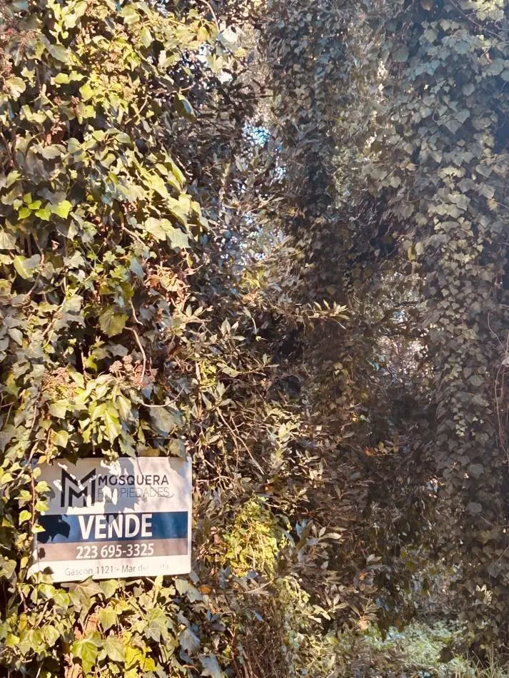 Terreno venta Bosque Peralta Ramos 1