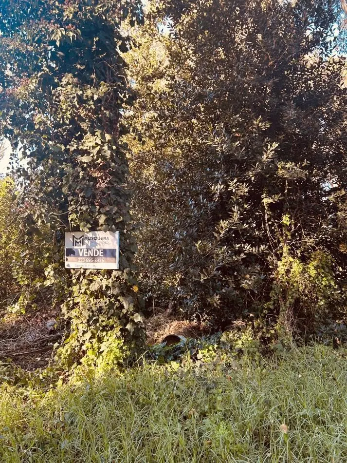 Terreno venta Bosque Peralta Ramos 5
