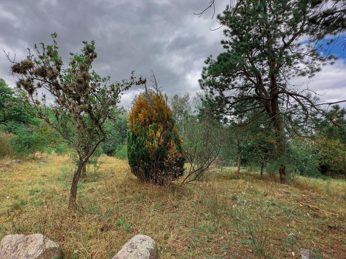 Terreno en Venta - Tafí del Valle, La Quebradita 3