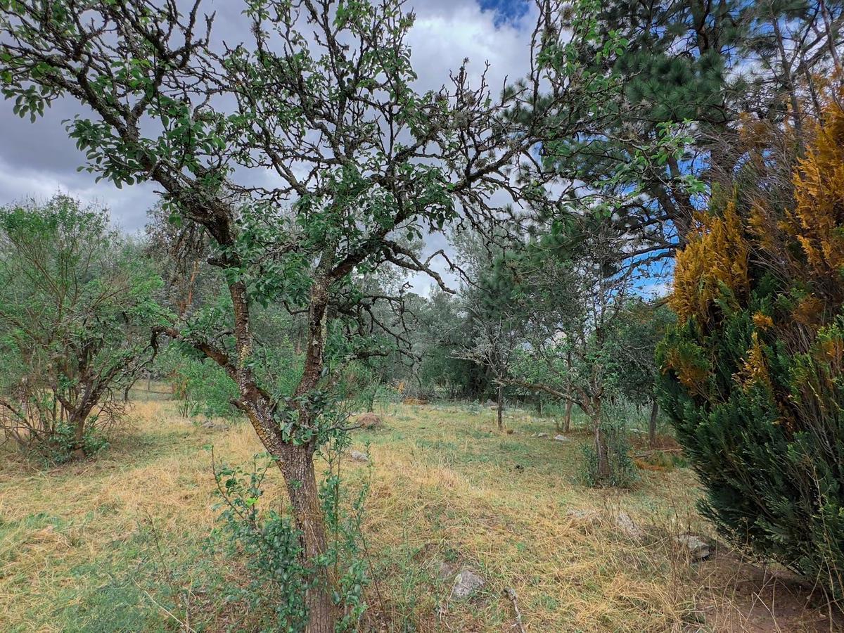 Terreno en Venta - Tafí del Valle, La Quebradita 1
