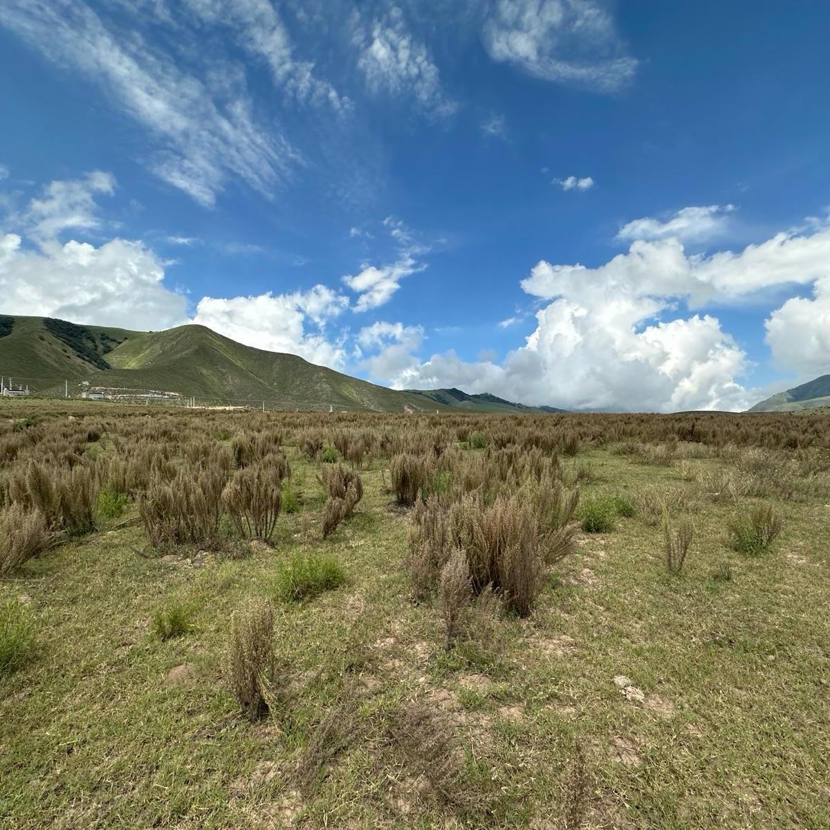 Terreno - Barrio Cerrado La Serena - Tafi del Valle 5