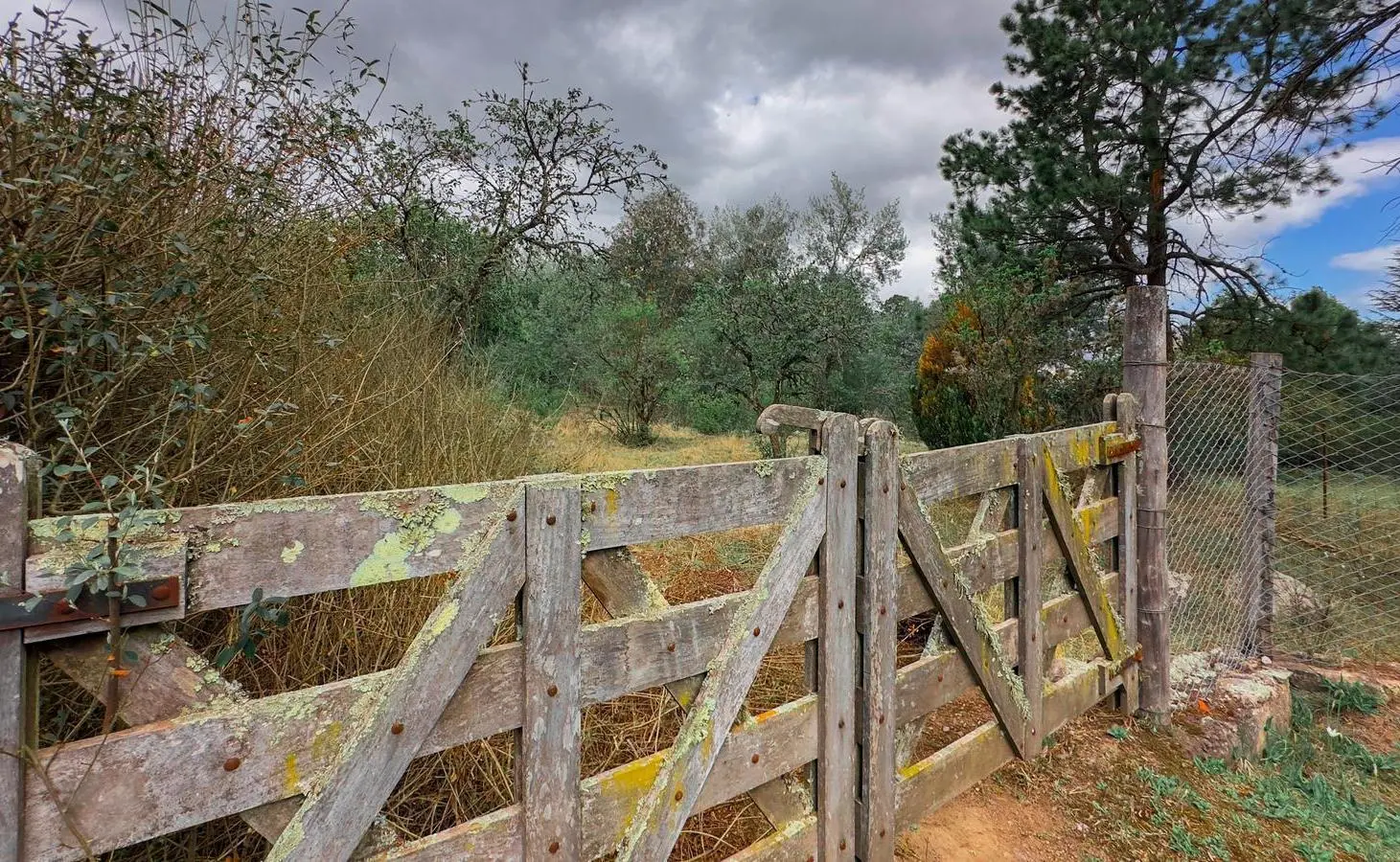 Terreno en venta - Tafí del Valle, La Quebradita 5