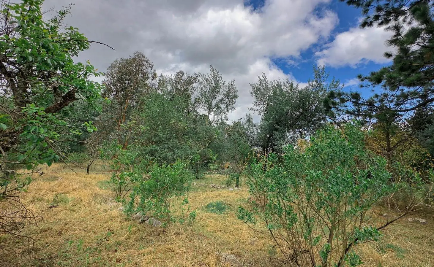 Terreno en venta - Tafí del Valle, La Quebradita 4