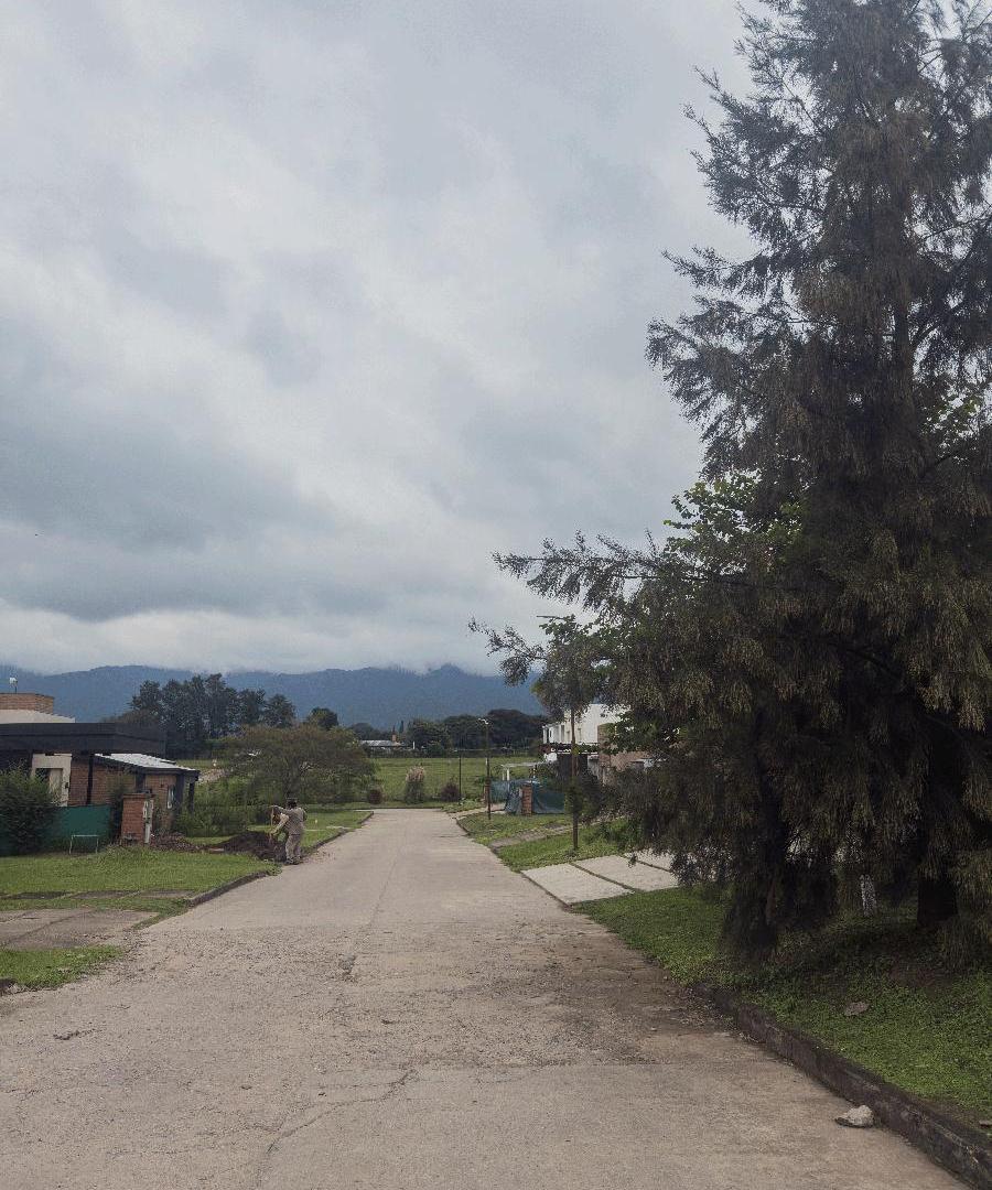 Foto de Terreno en Altos del Rosario, imagen 3