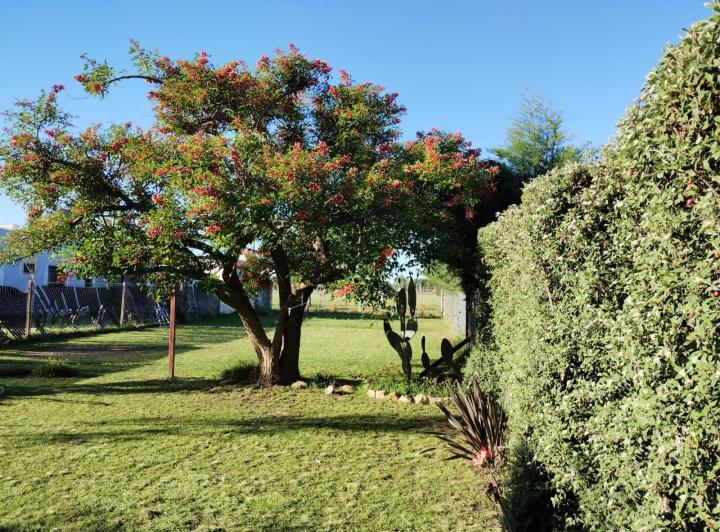 CASA CON JARDIN, TRANQUILIDAD Y CERCANIA A LA CIUDAD. 4