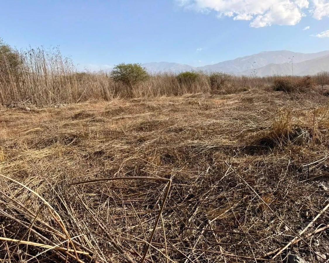 Foto de VENTA DE TERRENO SALTA - EL ENCON, imagen 5