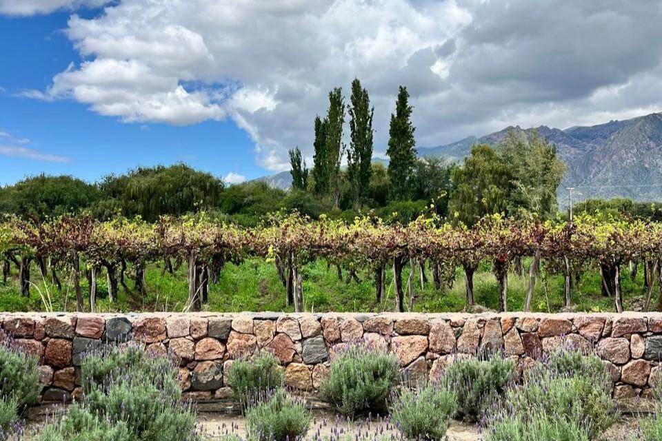 Terreno de 1750 m² en Venta en La Estancia de Cafayate R40 5