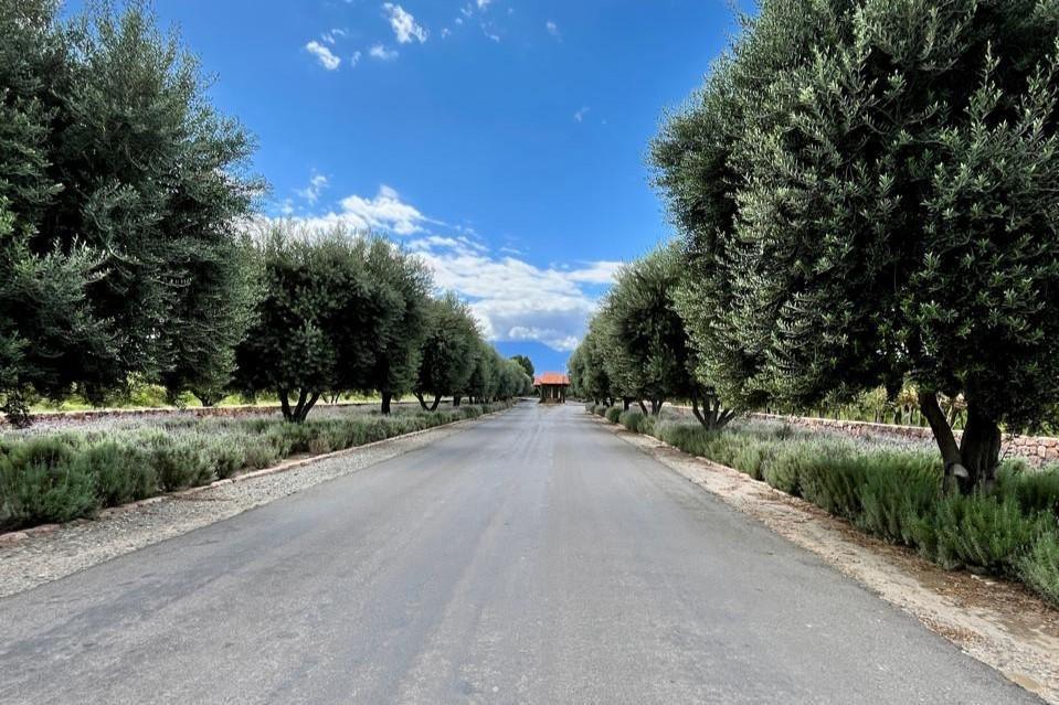 Terreno de 1750 m² en Venta en La Estancia de Cafayate R40 2