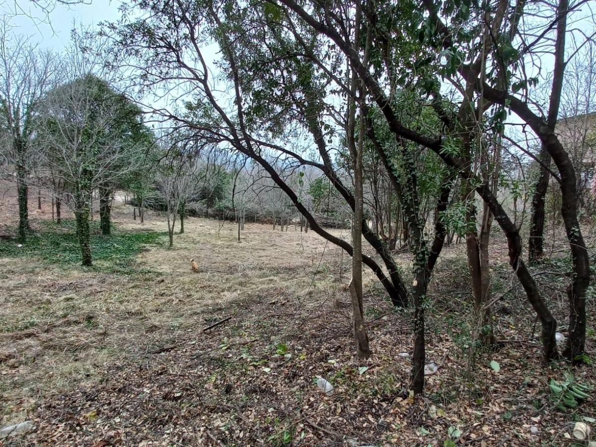 617 m² a Dos Cuadras de Ruta 38 - Valle Hermoso 5