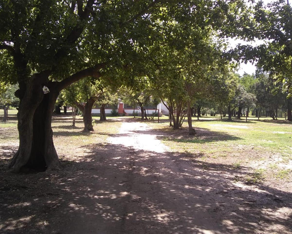 Hermosa Casa Quinta (Ex Hostel) + Departamento en Amplio Parque Ubicada en Bialet Massé - Zona Cé 2